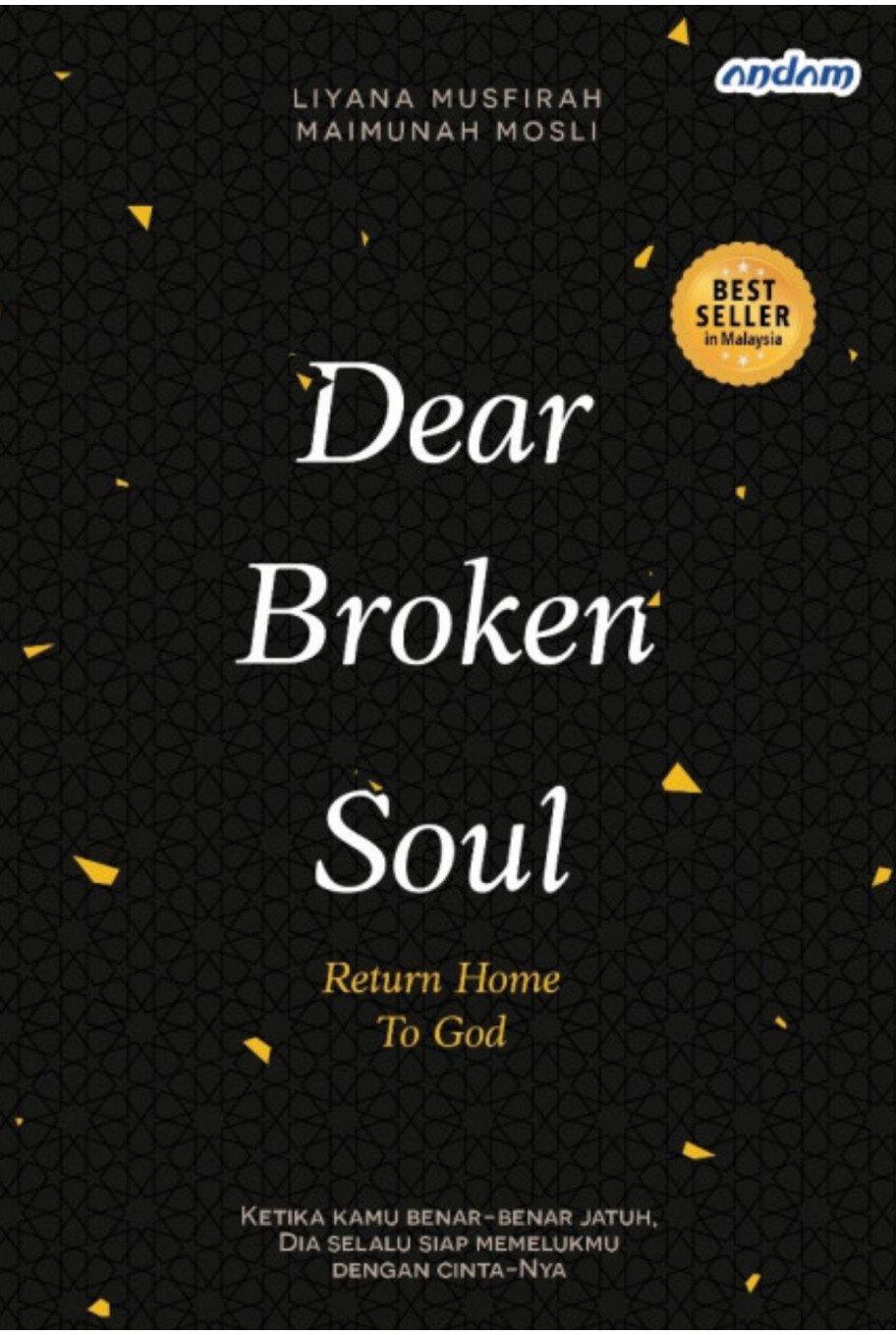 Dear Broken Soul